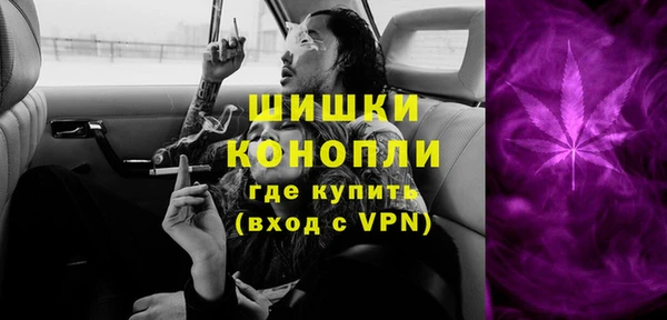бошки Новодвинск