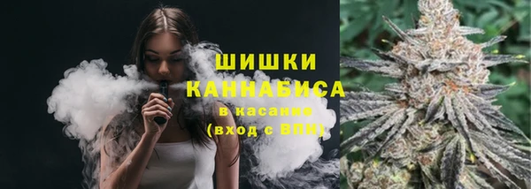 бошки Новодвинск