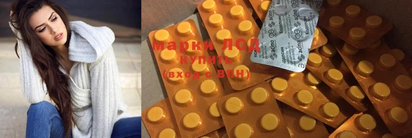 бошки Новодвинск