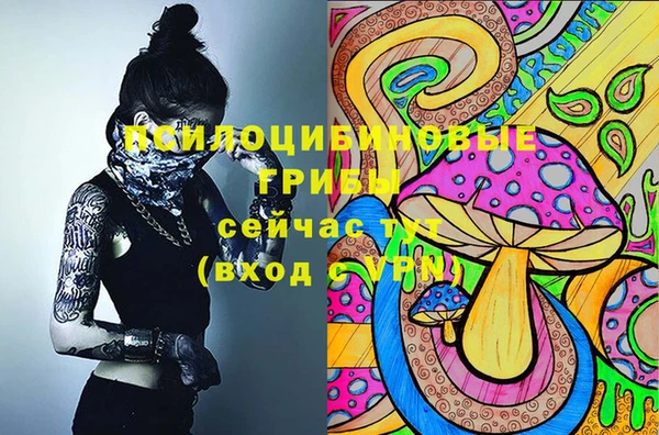 бошки Новодвинск