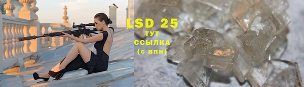 бошки Новодвинск