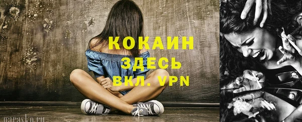 бошки Новодвинск