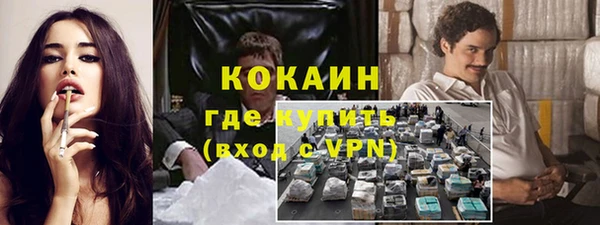 бошки Новодвинск