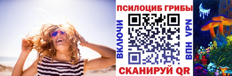 Галлюциногенные грибы Magic Shrooms  Купить закладки  Красный Сулин 